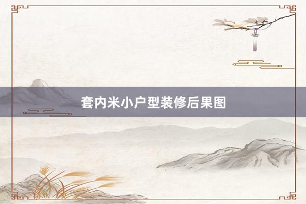 套内米小户型装修后果图