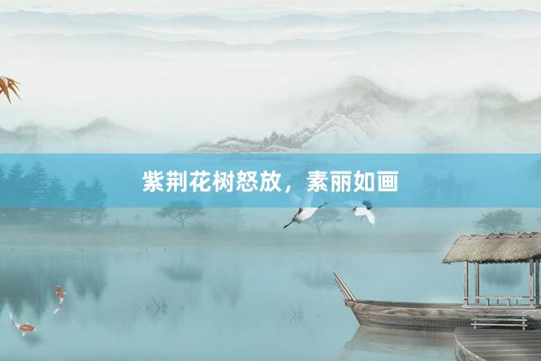 紫荆花树怒放，素丽如画
